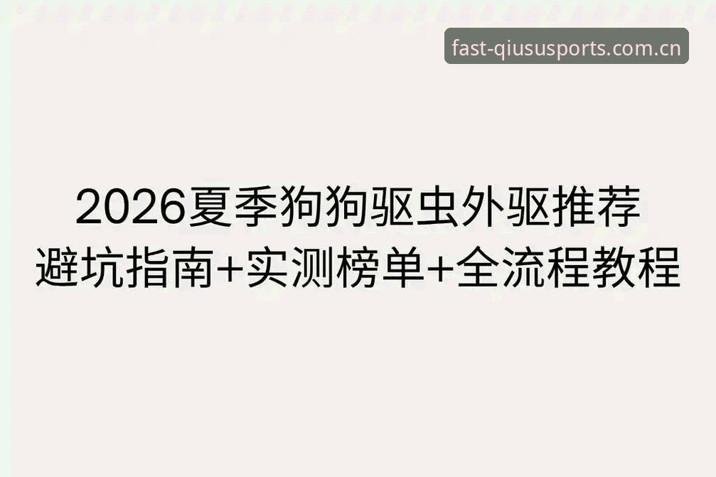 球速平台深度评测：从新手到老手的安卓下载全流程指南